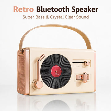 High-end Portable Wireless  Speaker with Double Microphone Karaoke Charging Base Support BT AUX TF Card USB