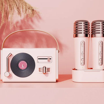C-220 PLUS Hot Selling Portable Mini Karaoke Speaker Hifi Music Party DJ Voice Changer Magnetic Dual Microphone Charging